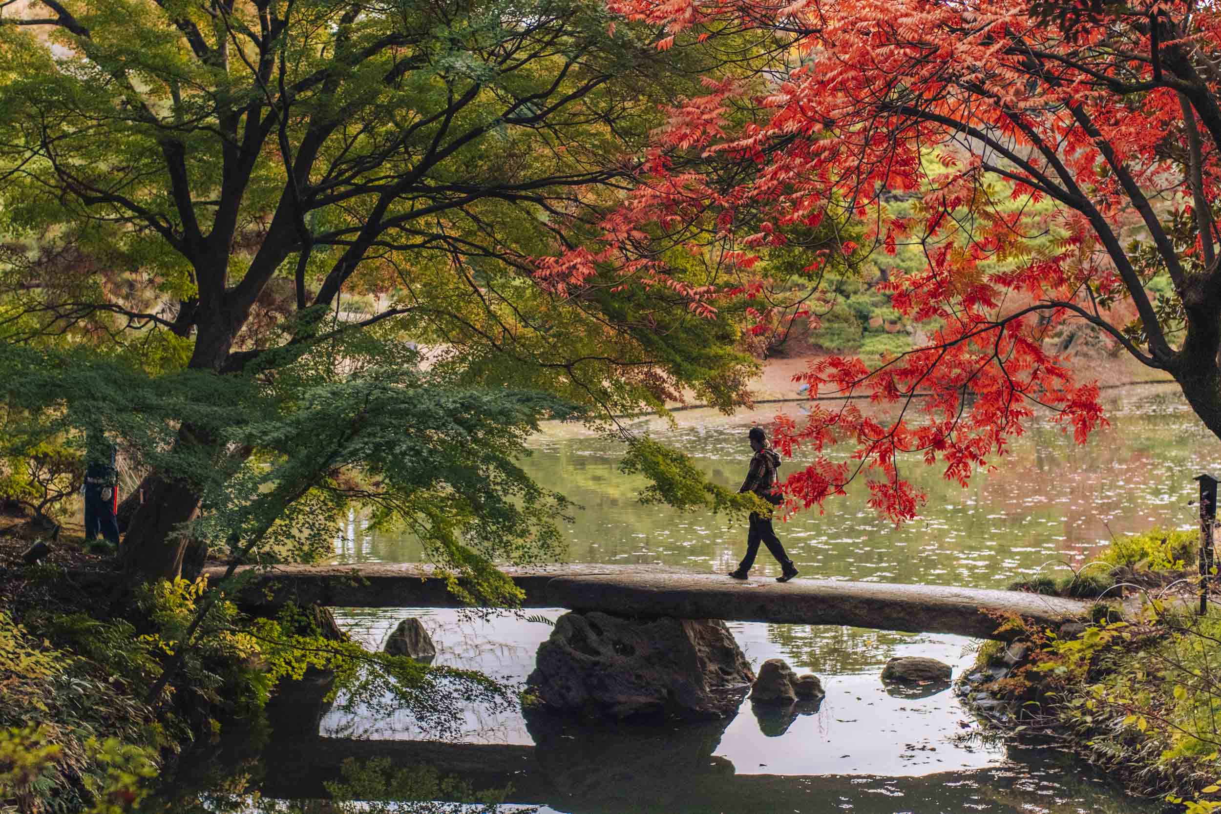 Rikugien rikugien